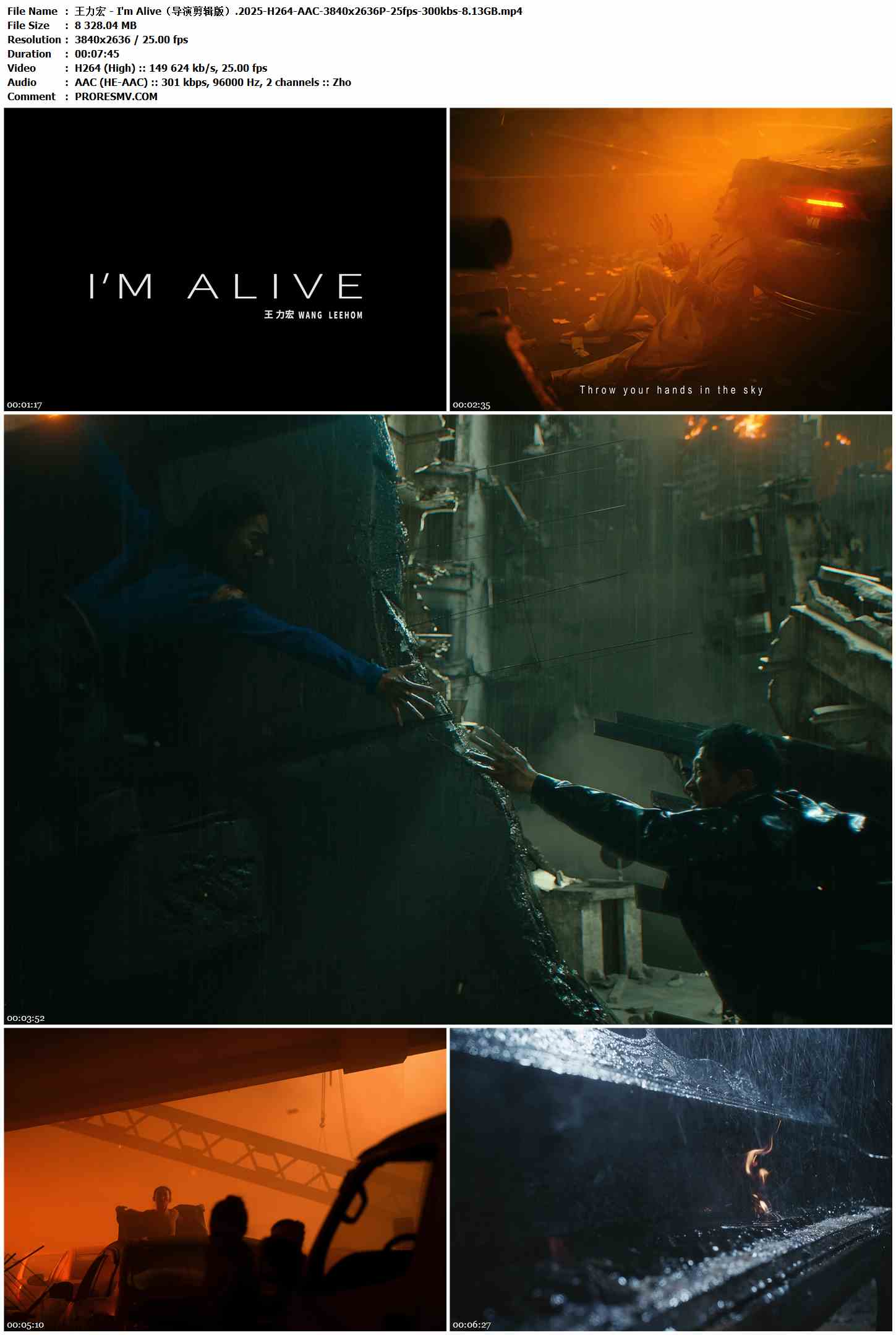 王力宏 - I'm Alive（导演剪辑版）.2025-H264-AAC-3840x2636P-25fps-300kbs-8.13GB官方MV_高清MV